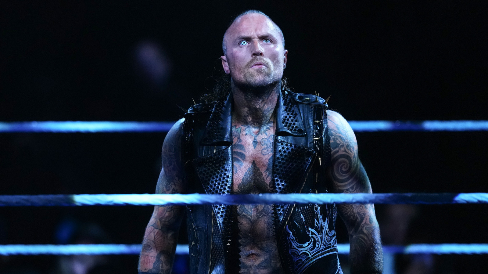 Aleister Black Discusses Potential MMA Match, Fight Career Options Before WWE